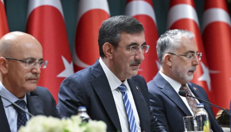 OVP'nin çıktıları neler, nasıl değerlendirilmeli? Al Ain Türkçe Özel